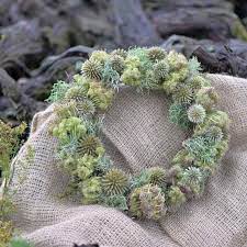 Der kranz hat einen d von ca. Herbstkranze Selber Machen Ideen Zum Nachmachen Living At Home