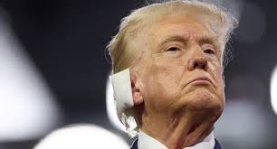 Donald Trump basks as Joe Biden infighting returns