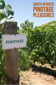 South Africa S Pinotage Pleasures Wine Enthusiast Wine Enthusiast South Africa Pinot