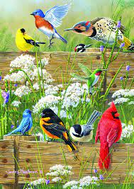 These pieces are easy to see and handle. Buy Buffalo Games Hautman Brothers Songbird Menagerie 300 Large Piece Jigsaw Puzzle 21 1 4inx15in Online In Romania B00lp8es04