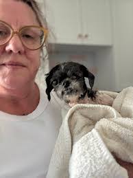 Allison Vail's Instagram, Twitter & Facebook