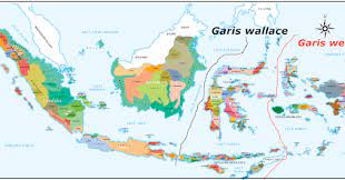 Geo Renza Persebaran Flora Dan Fauna Di Indonesia