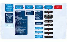 Welcome To Padi Elearning