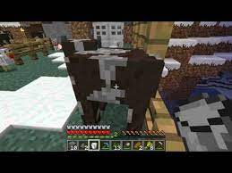 Tutorial How To Milk A Cow In Minecraft Youtube