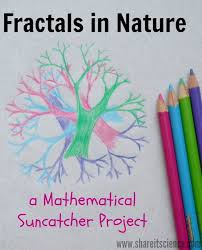 Share It Science Fractals In Nature A Mathematical Suncatcher Project Get Outside Find Some Amazing Math Art Activities Fractals In Nature Creative Math