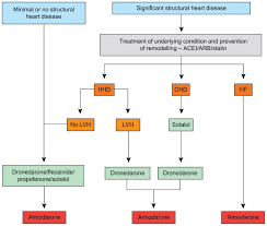Image result for Antiarrhythmic