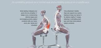 The internal organs constitute the most conspicuous part of the organs of the human body; The Bambach Saddle Seat