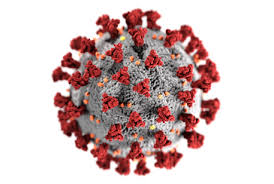 COVID-19 (Coronavirus): What You Need to Know
