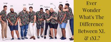 Fiend Type 0 Xl Gloss Black Chrome - Sessions Ride Co.