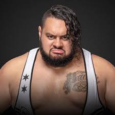 Action bronson body slams a concertgoer. Bronson Reed On Twitter Support The Mean Mug Wwenxt Nxtbreakouttourney