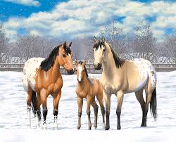 Buckskin, leather and rawhide click on these categories to explore our current inventory of tanned furs, hides and pelts. Buckskin Appaloosa Horses In Winter Pasture Painting By Crista Forest