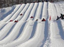 Little tikes to najlepszy wybór zabawek do ogrodu i do domu. Winter Activities In The Lower Hudson Valley Ellis Sotheby S International Realty