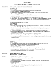 info assurance resume samples velvet jobs