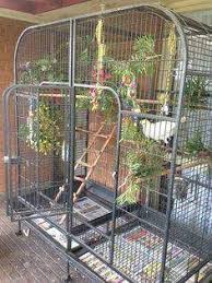 Bird Cage Ideas 117 Pet Bird Cage Green Wing Macaw Diy Bird Cage