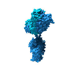 Pin On Mood Board Action Of Antibodies