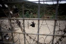 La mujer no trabaja, el trabajo le asusta, la suegra es feroz, tiene mucha carpanta. Espagne Un Mort Decouvert Sur Une Plage De Ceuta Infomigrants