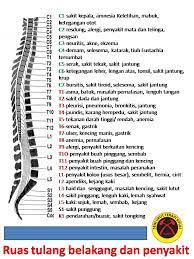 Sakit belakang jenis ini kebiasaannya berlaku apabila kita membuat sesuatu pekerjaan dengan tidak menitikberatkan tulang belakang seperti cara selain itu terdapat sebab lain yang turut menajadi punca sakit belakang. Mengesan Penyakit Menerusi Ruas Tulang Belakang Sifuli Terapi