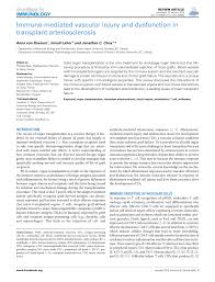 While basemental drugs requires only the base game to work, basemental. Pdf Immune Mediated Vascular Injury And Dysfunction In Transplant Arteriosclerosis