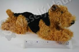 Image result for velšteriér