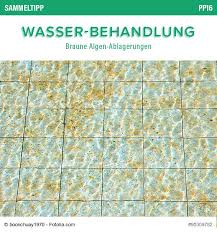 Poolsana Sammeltipp Nr 44 Wasser Behandlung Braune Algen Ablagerungen Pool Ratgeber Wasserpflege Poolpflege Tipps Braun Werden Algen