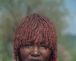 Index of /wp-content/uploads/2012/12/