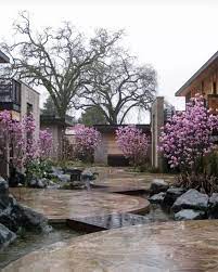 情于中式庭院 建筑园林新中式风格装修设计上市企业 天佑唐人 landscape design garden design urban garden