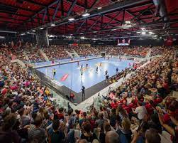 Pfadi winterthur is a team handball club from switzerland. Pfadi Winterthur Noch Sieben Unterstutzer Fehlen Fur 170 000 Freikarten