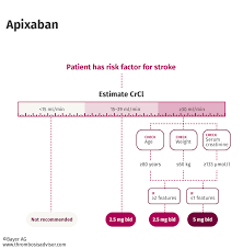 anticoagulant therapy about options dosing risks