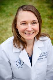 About Our Animal Hospital in Appleton, WI