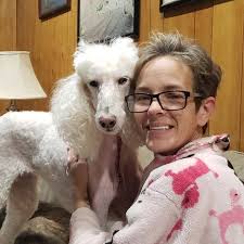 Are standard poodles aggressive or fearful?