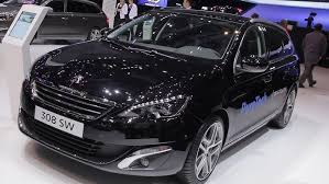 Image result for Brun Guaranja 2014 Peugeot