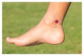 Maybe you would like to learn more about one of these? Druck Dich Schlank 5 Akupressurpunkte Zur Entgiftung Praxis Fur Gesundheit