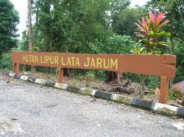 Terkenal sebagai port berkelah dengan pemandangan cantik dan nyaman, ramai yang menjadikan tempat ini sebagai weekend getaway dengan keluarga. Air Terjun Lata Jarum Wikipedia Bahasa Melayu Ensiklopedia Bebas