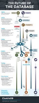 infographic the future of the database clustrix infographic database future
