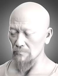 Scraggly Beard for Genesis 9 and 8.1 Male