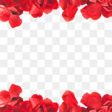 Lepestki Roz Plavuchih Material In 2020 Flower Png Images Red Petals Red Background