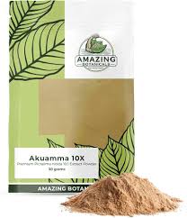 Image result for Picralima nitida