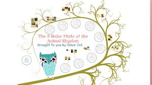 the 9 major phyla of the animal kingdom by lynne gianelos on