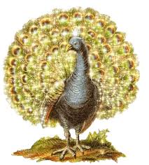 Bird Is The Word Gif Https Encrypted Tbn0 Gstatic Com Images Q Tbn 3aand9gctey0rp9jdsly6ramxkdykukyw14ushie5new Usqp Cau
