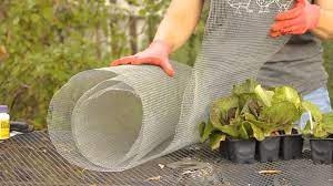 I keep my chickens out of the flowerbeds with a 6' privacy fence. How To Keep Rabbits Away From Lettuce Garden Space Youtube