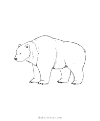 How To Draw A Bear An Easy Step By Step Tutorial Cute Bear Drawings Bear Sketch Drawings