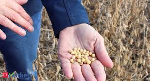 Grains Us Soybeans Snap Losing Streak South American