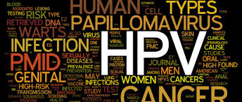 O que é o hpv?o papilomavírus (hpv), do qual existem mais de cem tipos, está relacionado com todos os cancros do colo do útero. Hospital Belo Horizonte Hpv O Que E Como Prevenir