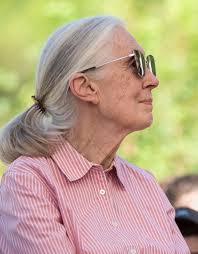 The Five Commitments of Optimistic Leaders for Children by  leadingforchildren