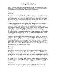 Write Top Expository Essay On Usa Submission Specialist Essay Examples Expository Essay Custom Essay Writing Service