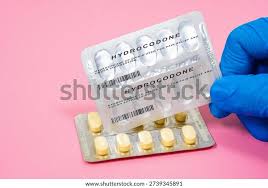 Image result for Hydrocodone