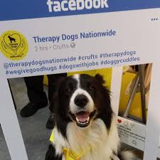 Profile for Eric the Border Collie