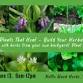 Plants that Heal -- Build your own herbal first aid kit
