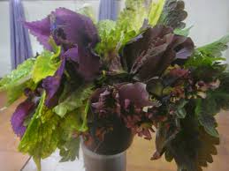 Ban cacing itu modif yang membahayakan orang lain. Waktu Solat Malaysia Waktu Solat Dot Net