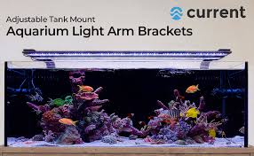 Amazon Com Current Usa Dual Adjustable Aquarium Light Arm Mount Kit Pet Supplies